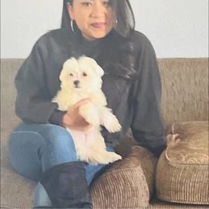 Meet your Posher, Yuri